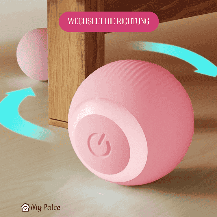 Catball - Interaktives Spielzeug für Katzen | MyPalee