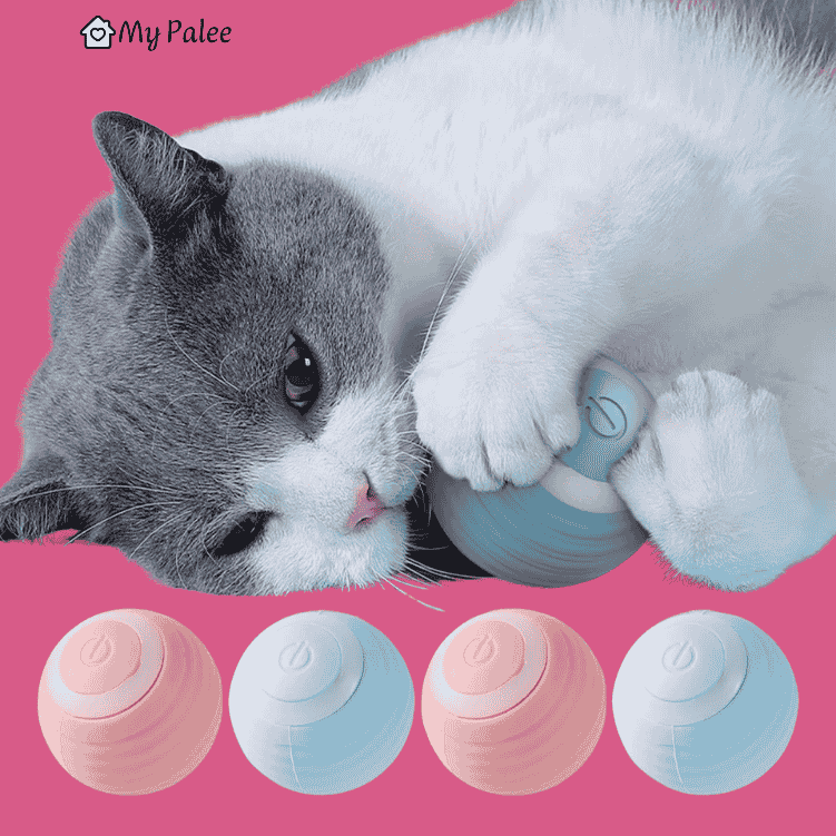 Catball - Interaktives Spielzeug für Katzen | MyPalee