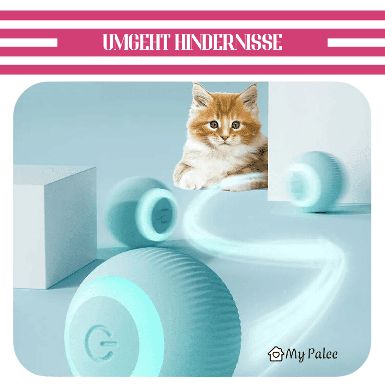 Catball - Interaktives Spielzeug für Katzen | MyPalee