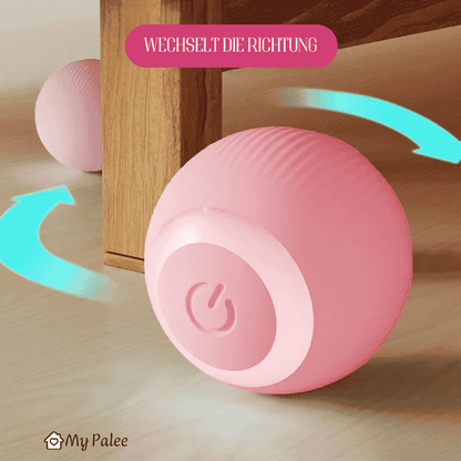 Catball - Interaktives Spielzeug für Katzen | MyPalee