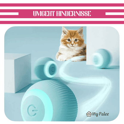 Catball - Interaktives Spielzeug für Katzen | MyPalee