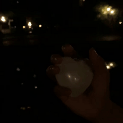 PurseLight Pro